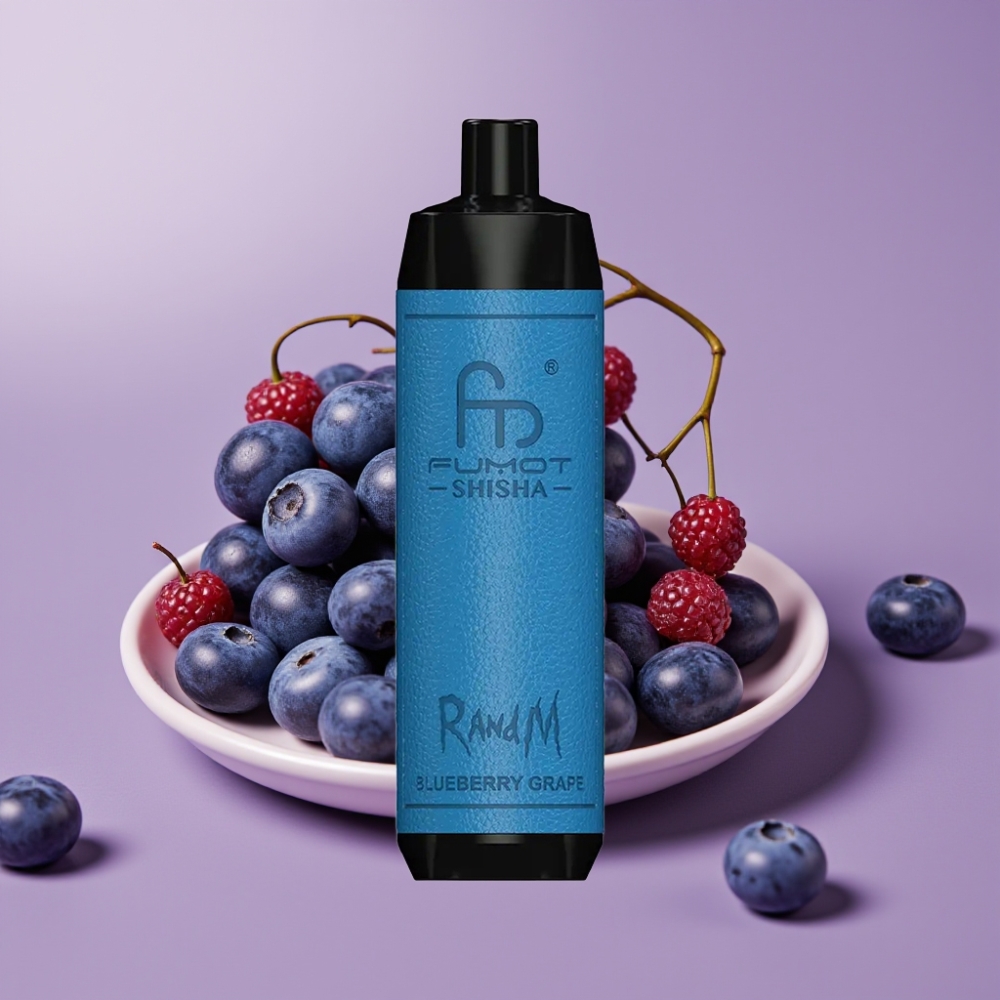 RandM Fumot Shisha 10000 Puffs 18ml Blåbær Drue Type-C 850mAh 0,5% Nikotin
