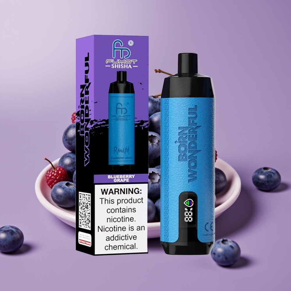 RandM Fumot Shisha 10000 Puffs 18ml Blåbær Drue Type-C 850mAh 0,5% Nikotin