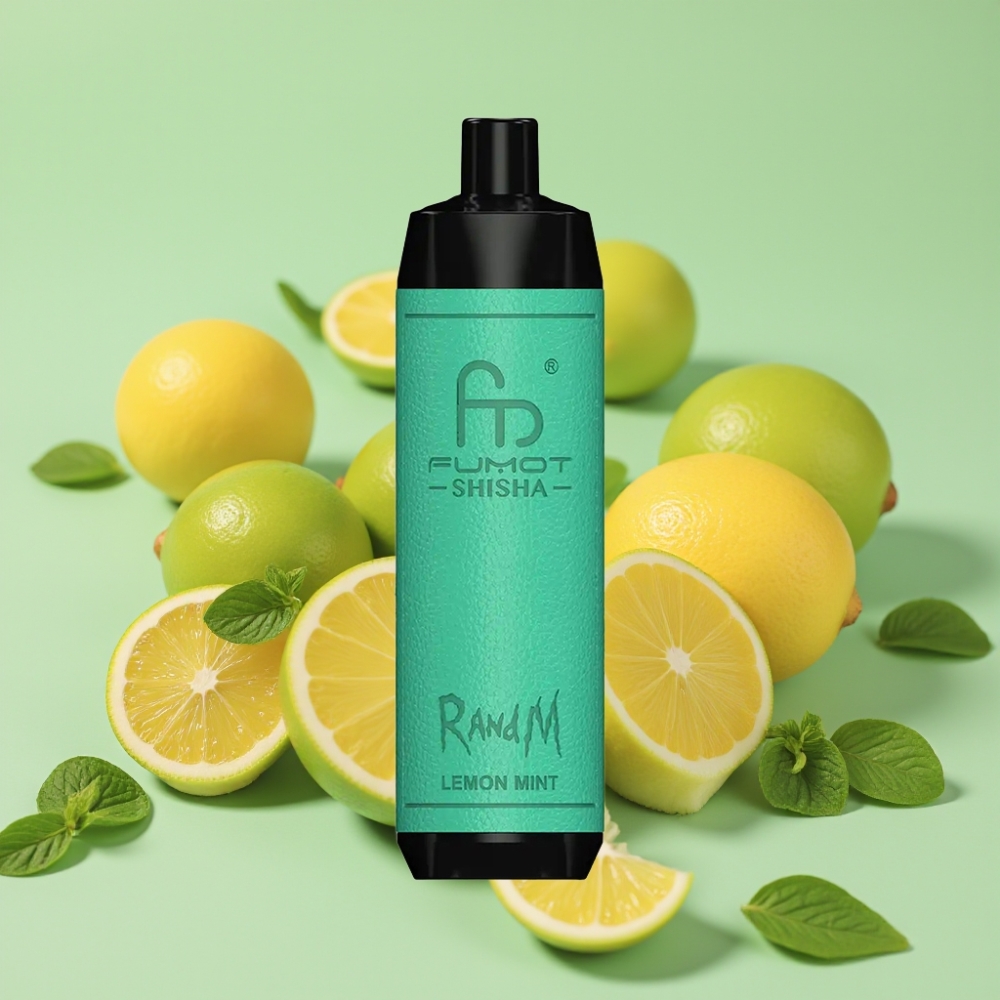 RandM Fumot Shisha 10000 Puffs 18ml Citron Mynte Type-C 850mAh 0.6ohm Mesh