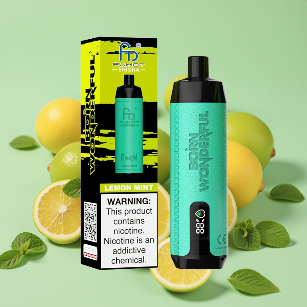 RandM Fumot Shisha 10000 Puffs 18ml Citron Mynte Type-C 850mAh 0.6ohm Mesh