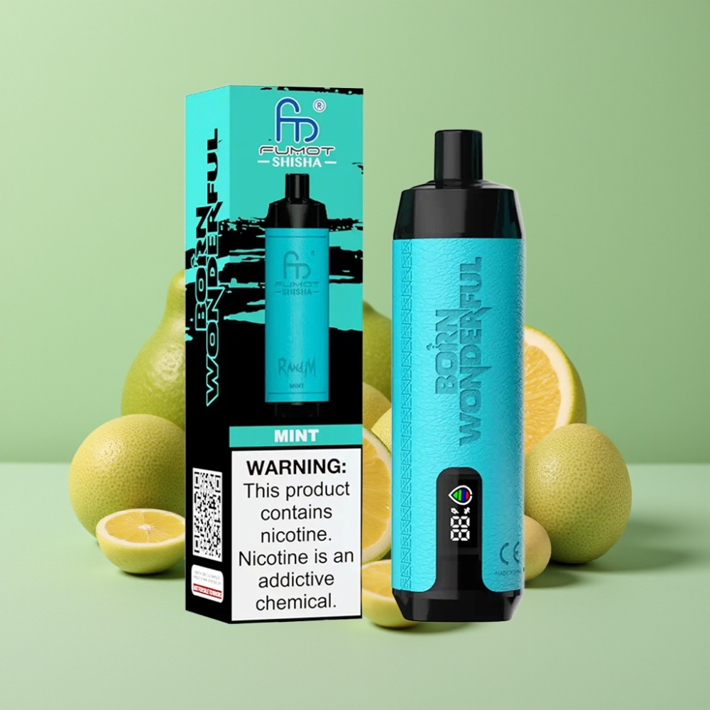 RandM Fumot Shisha 10000 Puffs 18ml Mynte Type-C Opladning 0.5% Nikotin