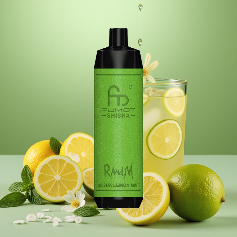 RandM Fumot Shisha 10000 Puffs 18ml Skærm Lemon Mynte Type-C