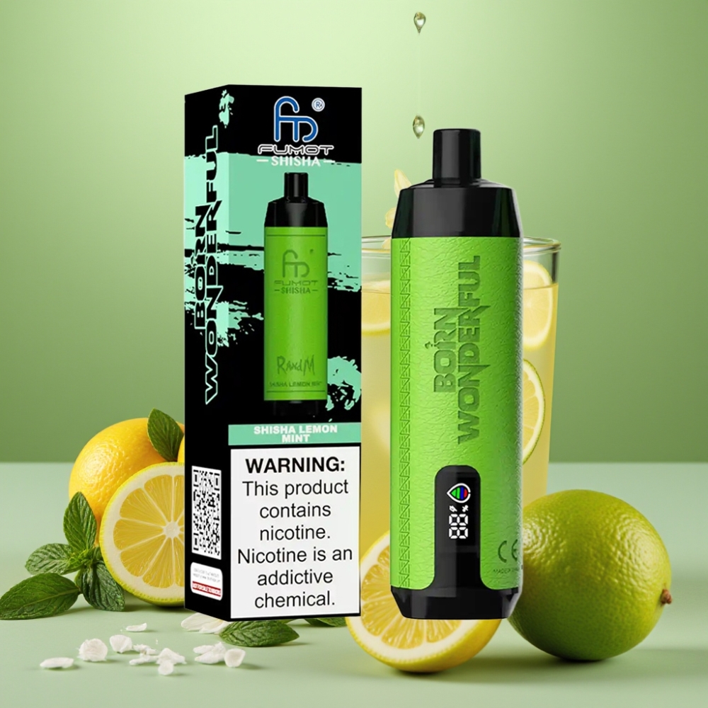 RandM Fumot Shisha 10000 Puffs 18ml Skærm Lemon Mynte Type-C