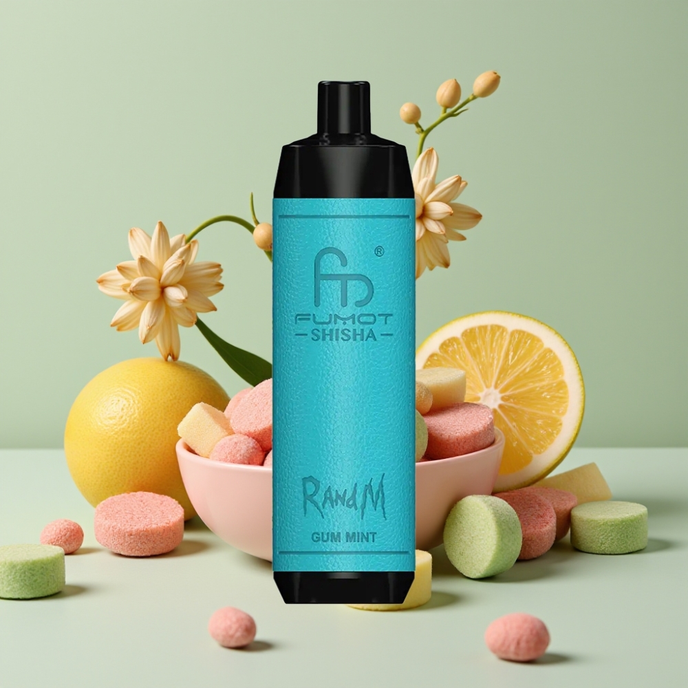 RandM Fumot Shisha 10000 Puffs 18ml Tyggegummi Mint 850mAh Type-C 0.6ohm Mesh