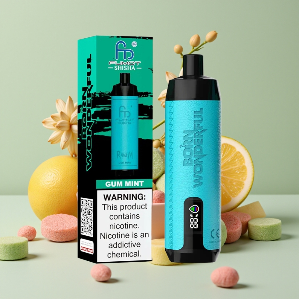 RandM Fumot Shisha 10000 Puffs 18ml Tyggegummi Mint 850mAh Type-C 0.6ohm Mesh
