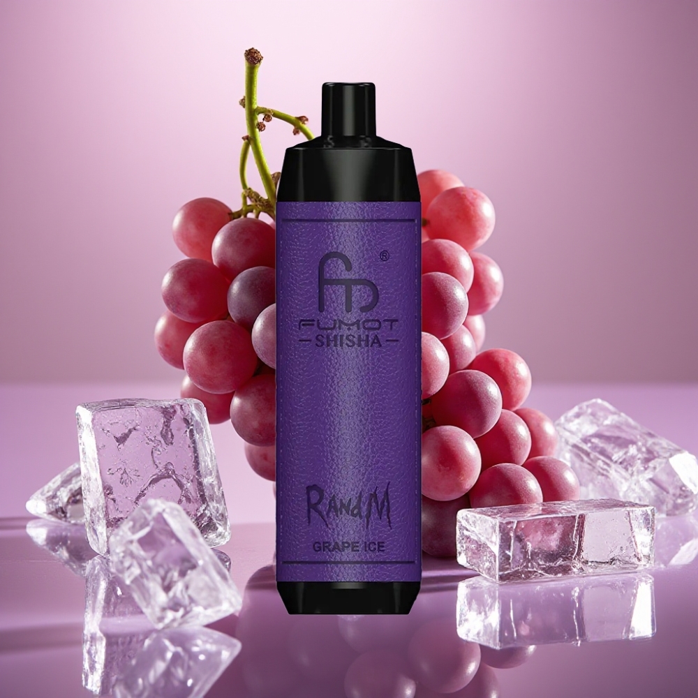 RandM Fumot Shisha 10000 Puffs 18ml Type-C Vinsis vape distributor in Denmark
