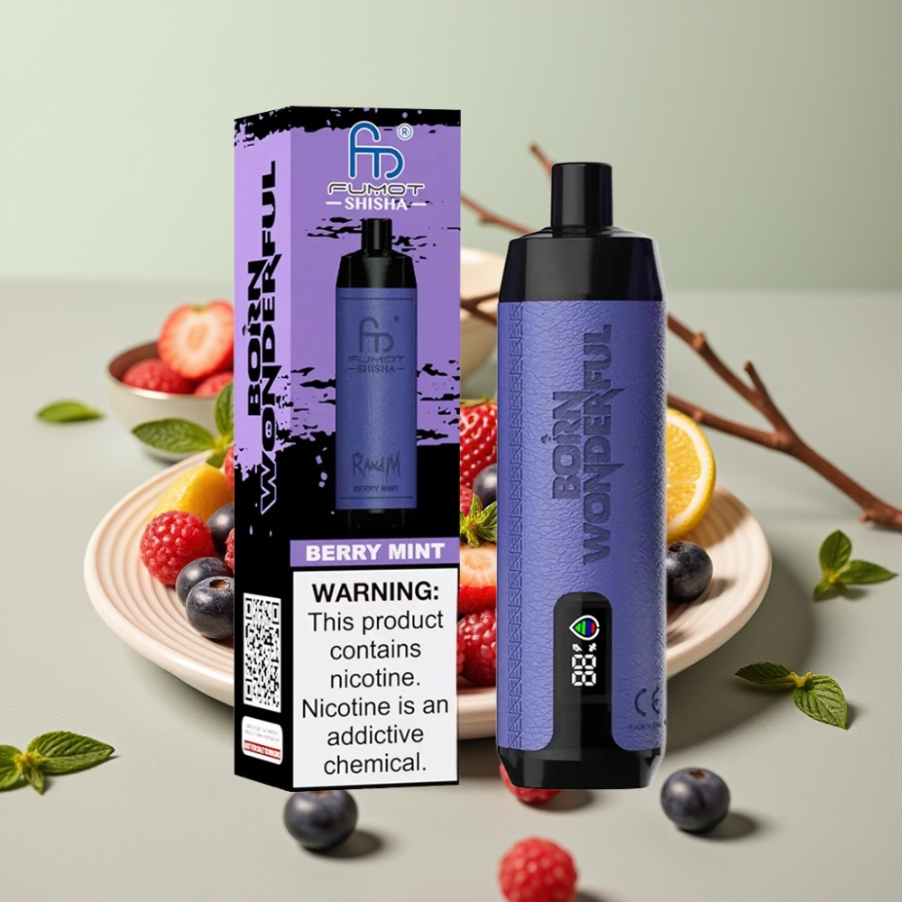 RandM Fumot Shisha 10000 Puffs Shisha Bær Mynte 18ml Type-C LED